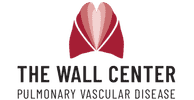The Wall Center
